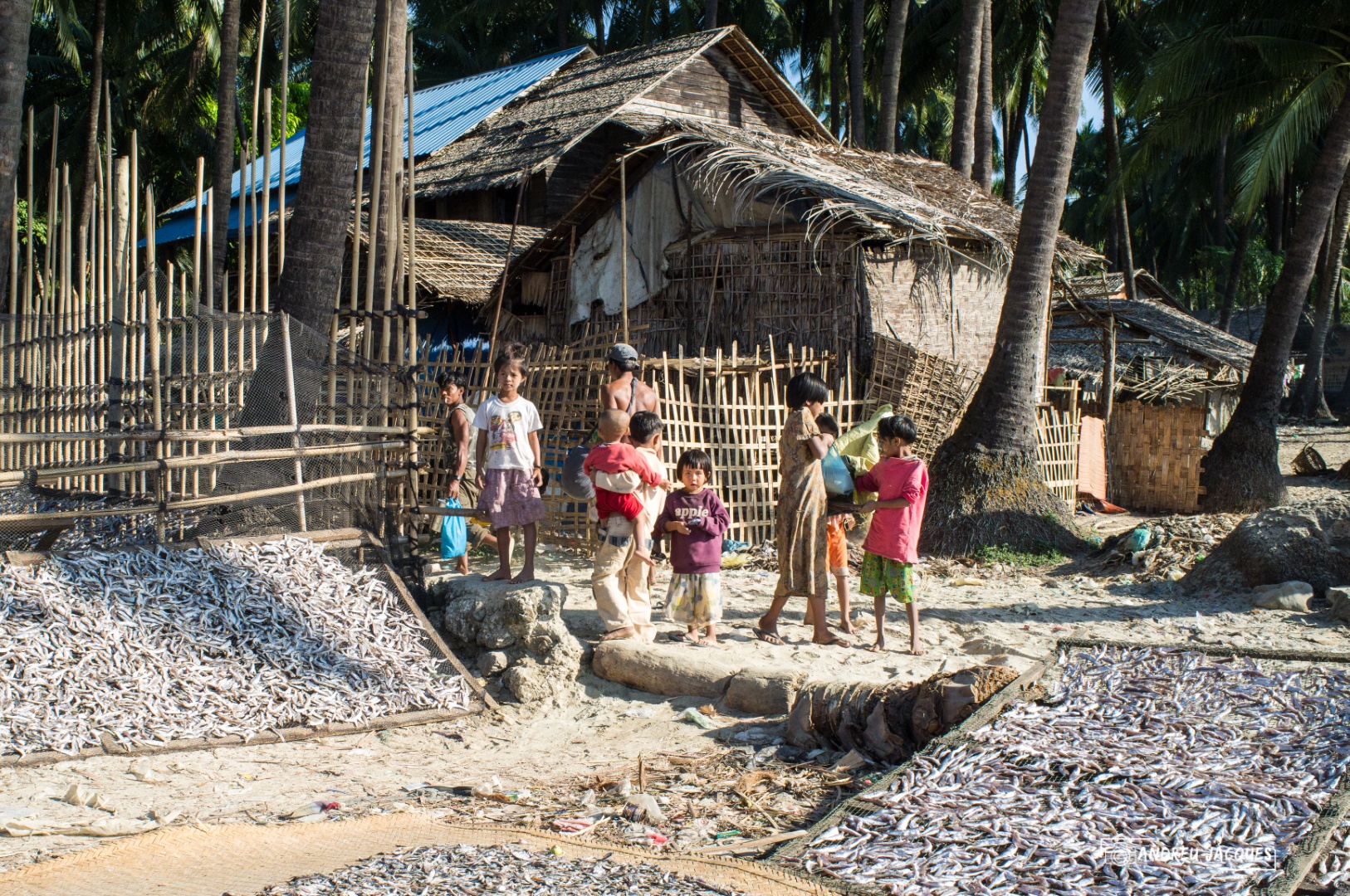 birmanie-241 (Grand).jpg